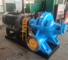 青青草成人在线