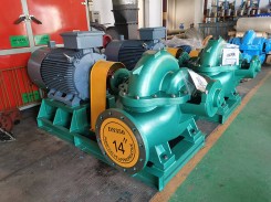 BECN青青草成人在线