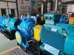 OS青青草成人在线